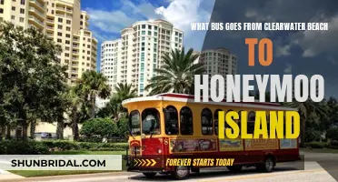 Clearwater Beach to Honeymoon Island: The Bus Route You Need