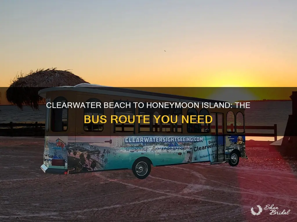 what bus goes from clearwater beach to honeymoon island