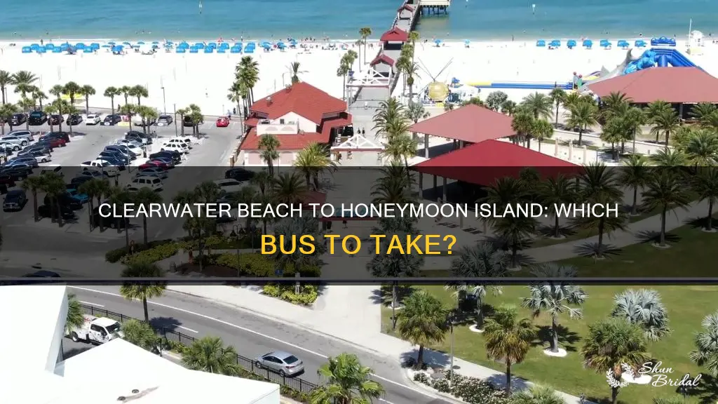 what bus goes from clearwater beach to honeymoon island