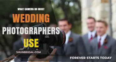 Best Cameras for Wedding Photographers: Their Top Picks