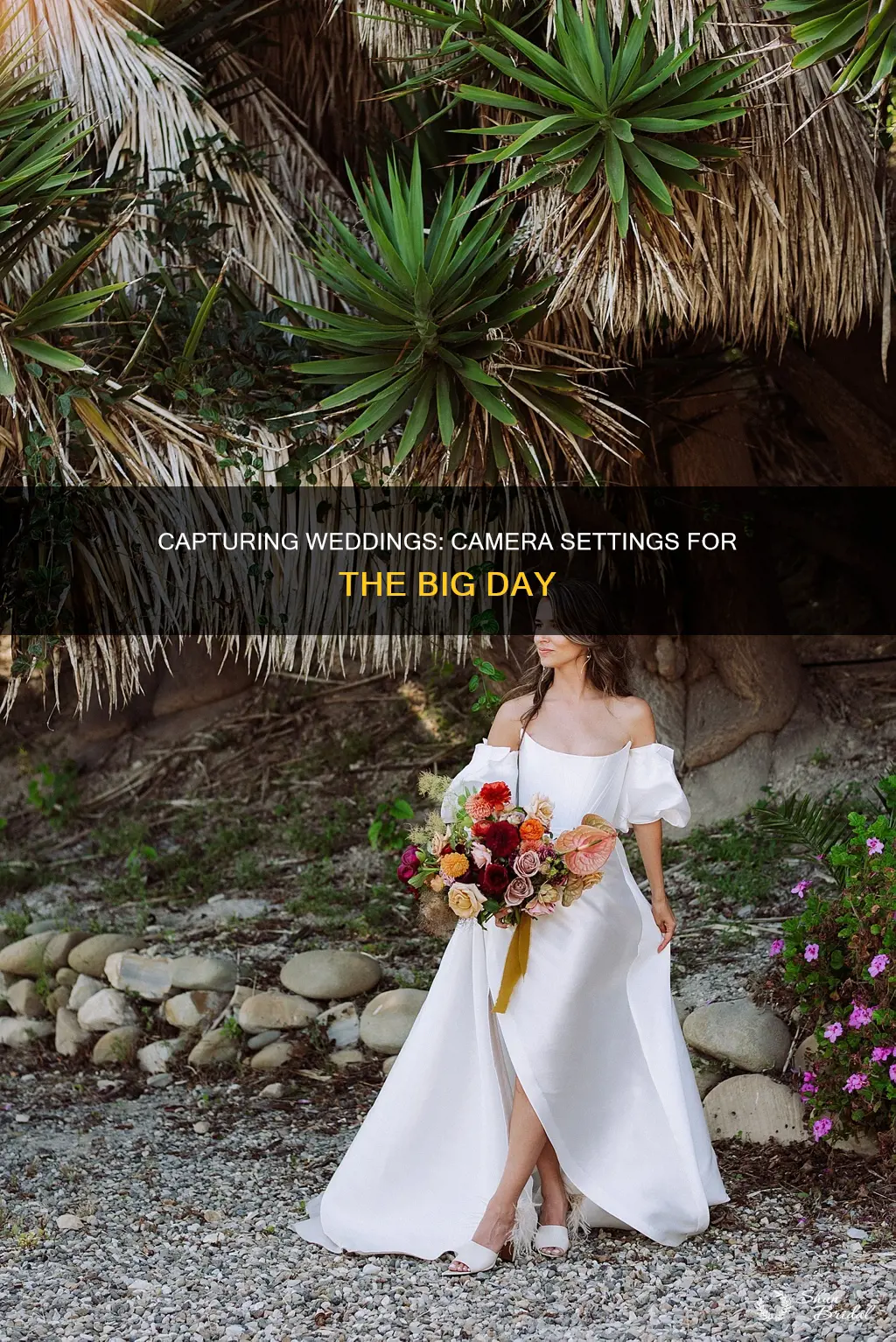 what camera setting to use to shoot a wedding