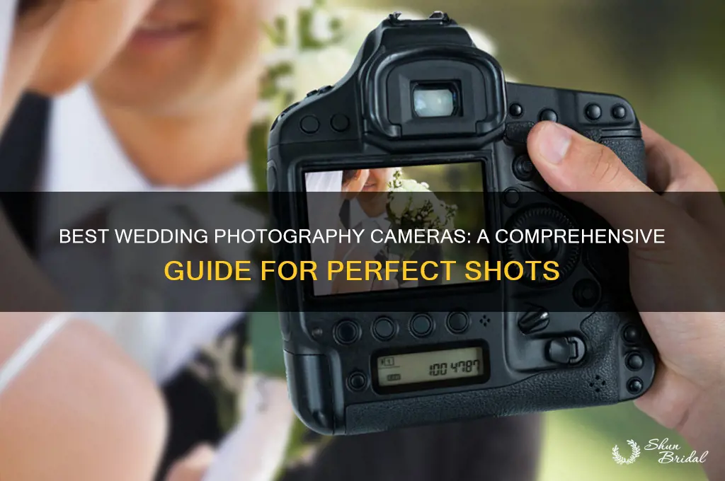 what camera should I buy for wedding photography