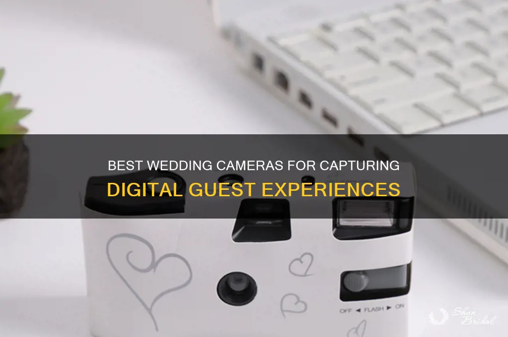 what cameras to use for wedding digital guests take