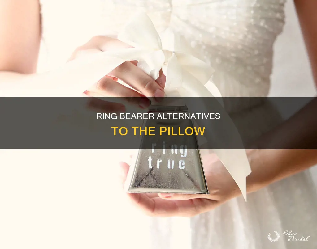 what can a ring bearer carry other than a pillow