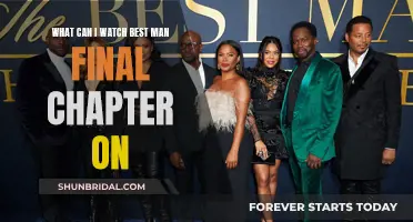 Best Man Final Chapter: Where to Watch?