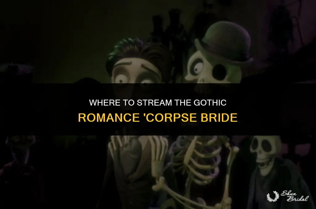 what can i watch corpse bride on
