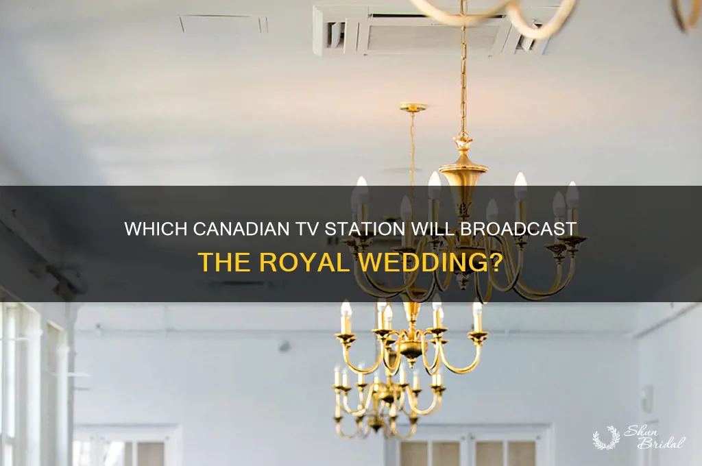 what canadian tv station is covering the royal wedding
