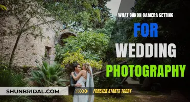 Canon Wedding Photography: Capturing the Perfect Moments
