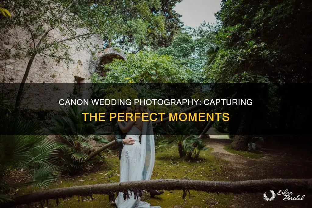 what canon camera setting for wedding photography