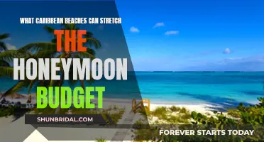 Sun, Sand, and Savings: Caribbean Beach Honeymoons on a Budget