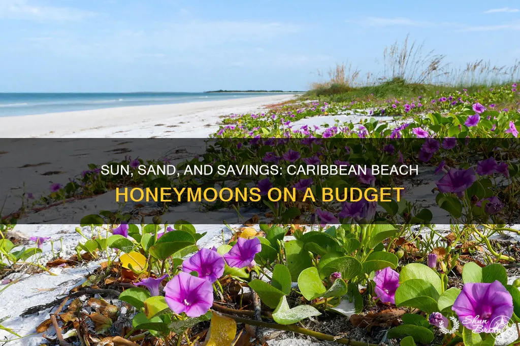 what caribbean beaches can stretch the honeymoon budget