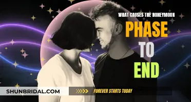 Understanding the End of Honeymoon Phase in Relationships