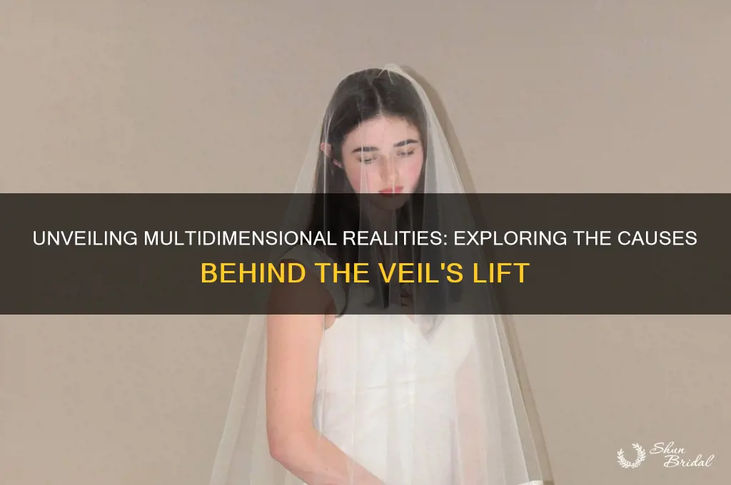 what causes the veil to lift showing multidimensional