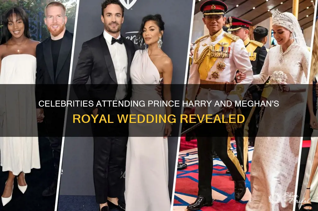 what celebreties are going to prince harry and meghan