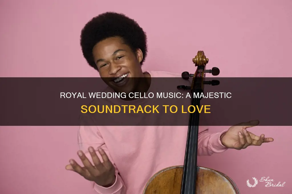what cello music is being played at royal wedding