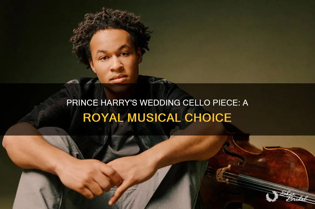 what cello piece is played at prince henry