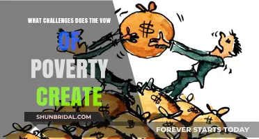 Vow of Poverty: Navigating Financial, Social, and Personal Struggles