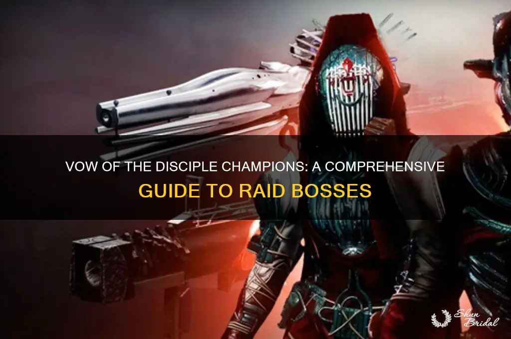 what champions are in vow of the disciple