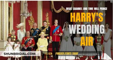 Royal Wedding: When and Where to Watch Prince Harry's Wedding