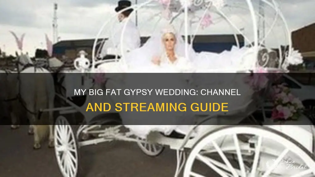 what channel does my big fat gypsy wedding come on