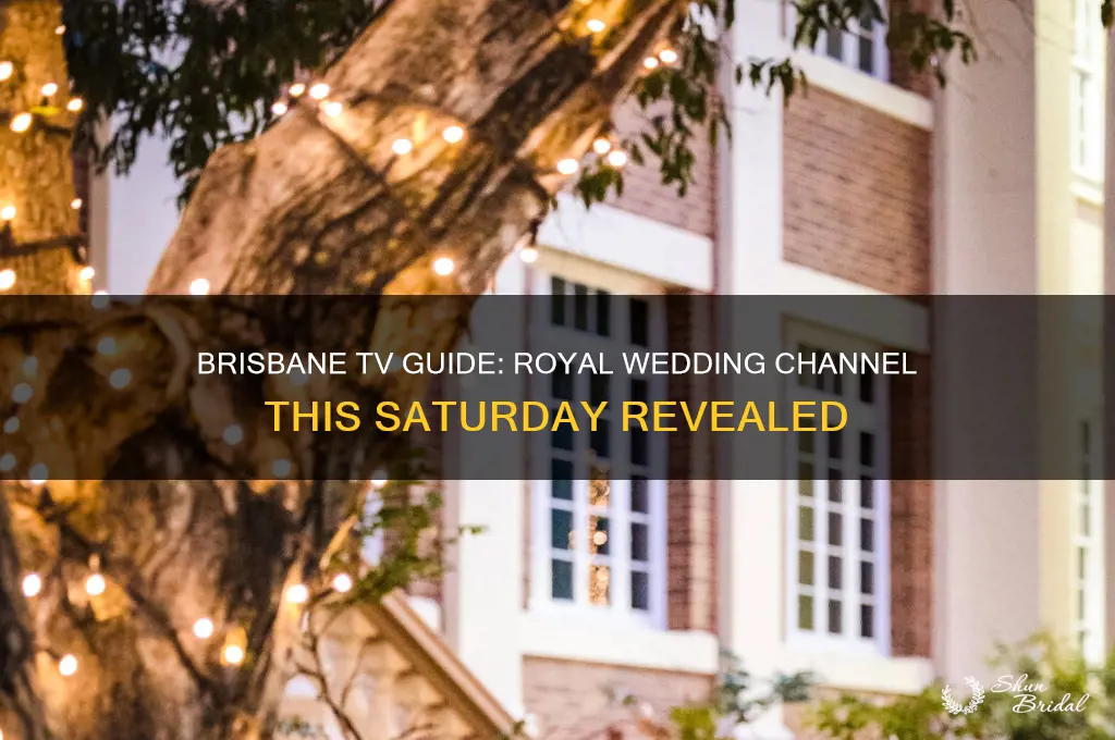 what channel in brisbane is the royal wedding this saturday