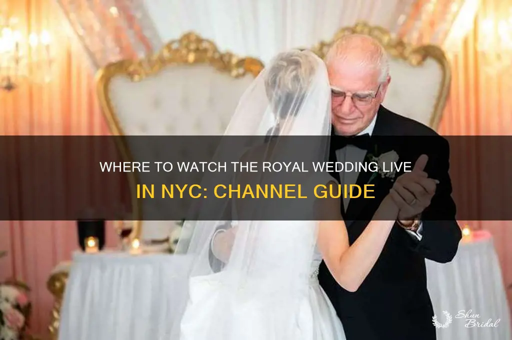 what channel in nyc is the royal wedding on