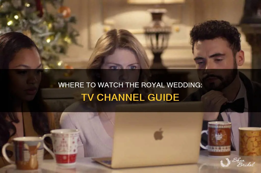 what channel is airing royal wedding