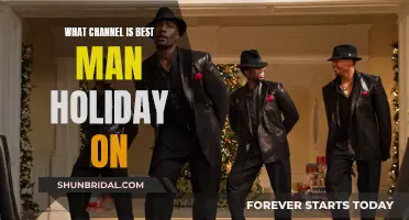 Best Man Holiday: Streaming Channel Options for Viewers