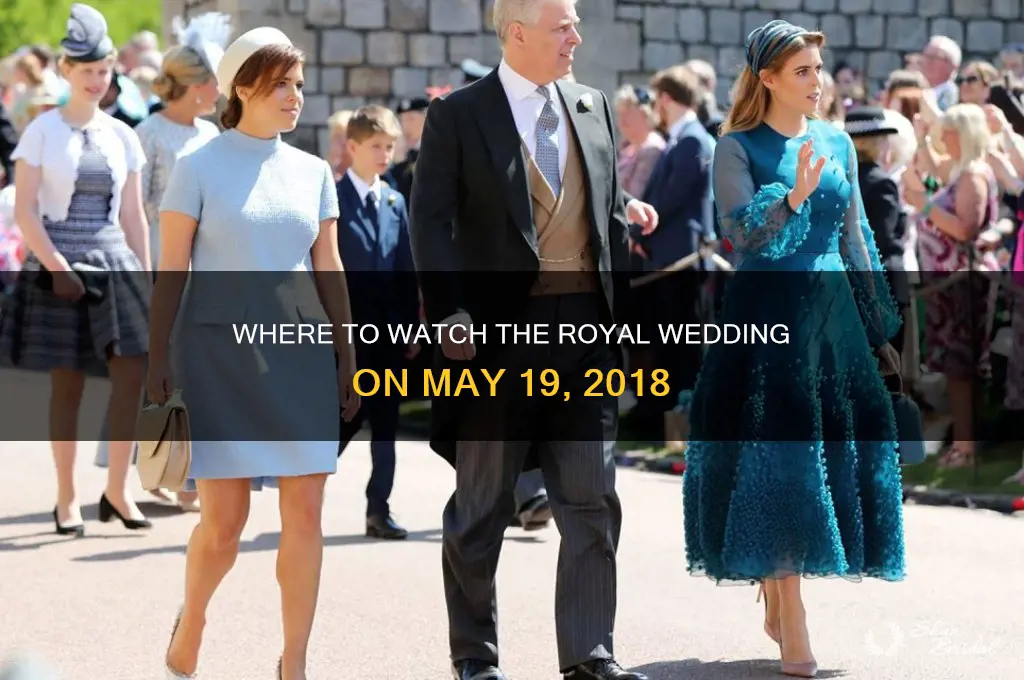 what channel is royal wedding on 5-19-18