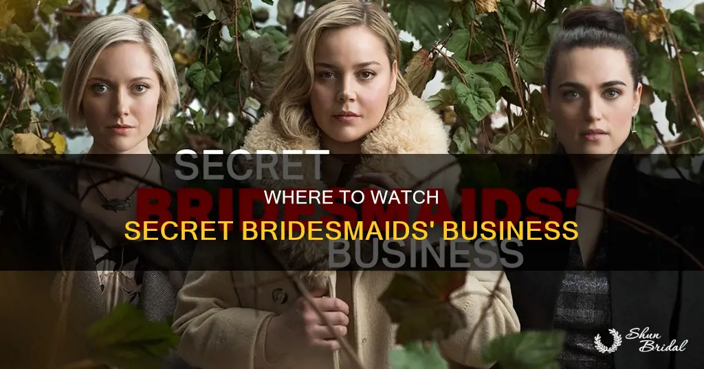 what channel is secret bridesmaids business on