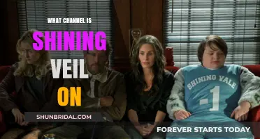 Where to Watch Shining Veil: Channel Guide for Fans