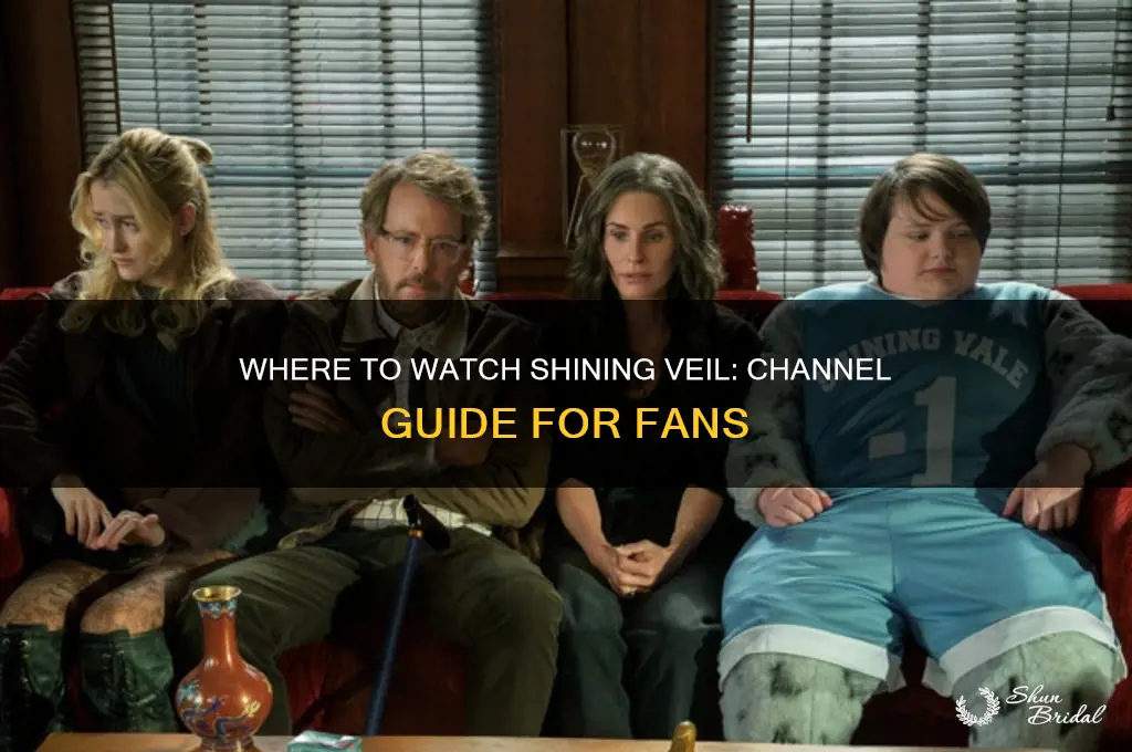 what channel is shining veil on