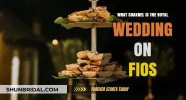 Royal Wedding on Fios: Channel Guide for Live Coverage