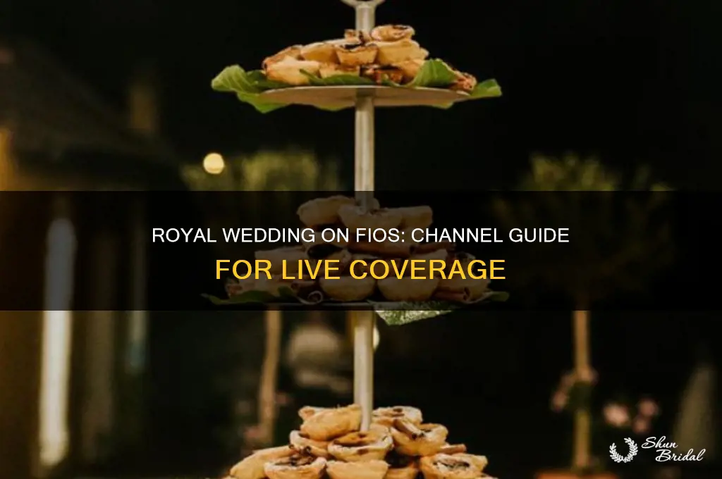 what channel is the royal wedding on fios