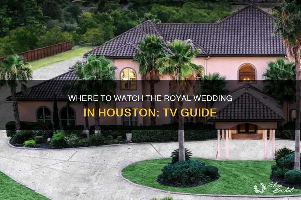 what channel is the royal wedding on houston