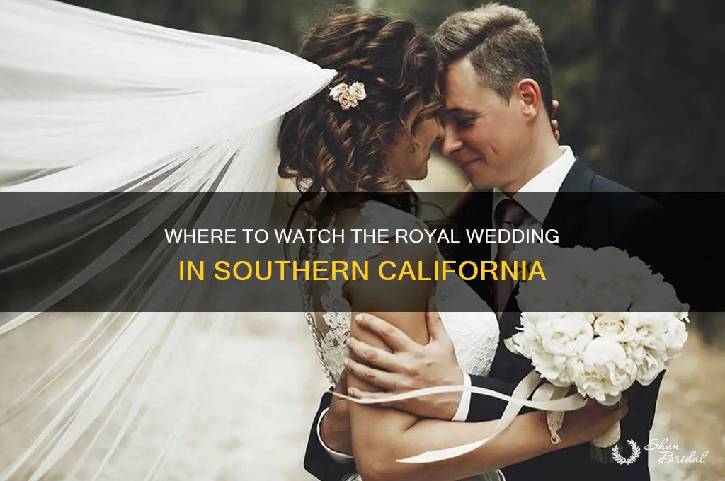 what channel is the royal wedding on in socal