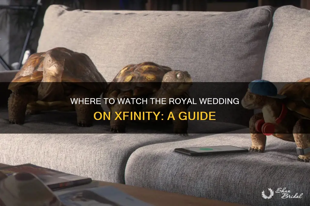 what channel is the royal wedding on xfinity