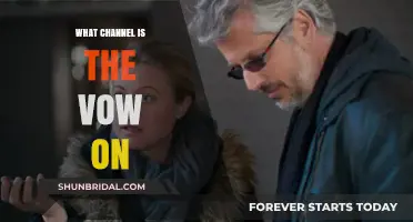 Where to Watch The Vow: Channel Guide for Movie Lovers