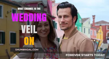 Where to Watch The Wedding Veil: Channel Guide for Fans