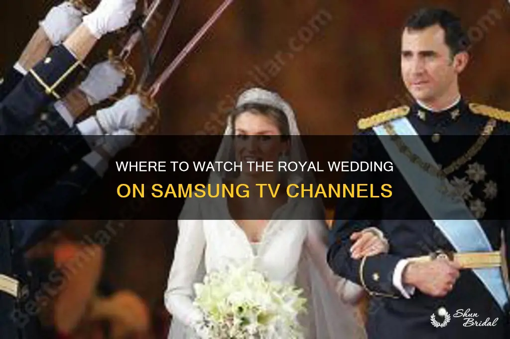 what channel on a samsung tv is the royal wedding