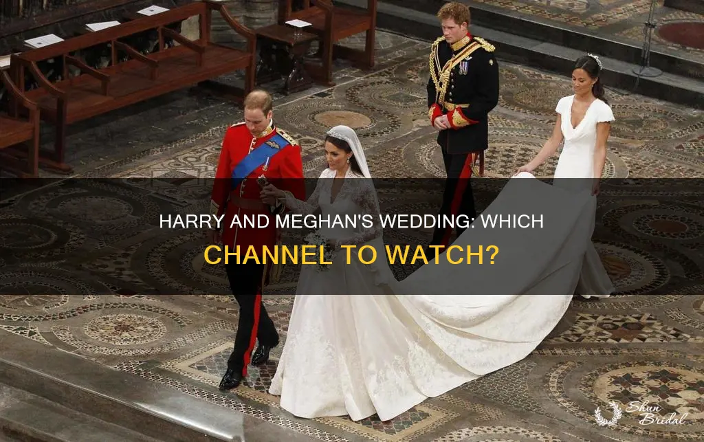 what channel will carry prince harry and meghan markle