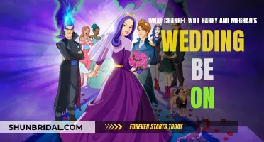 Royal Wedding: Where to Watch Harry and Meghan's Big Day