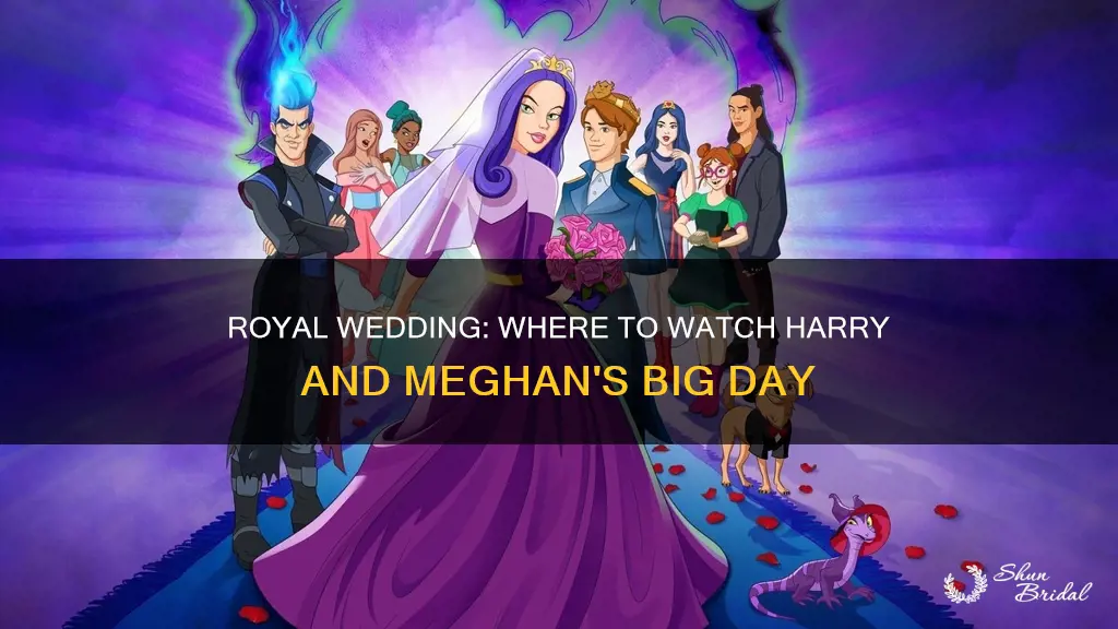 what channel will harry and meghan