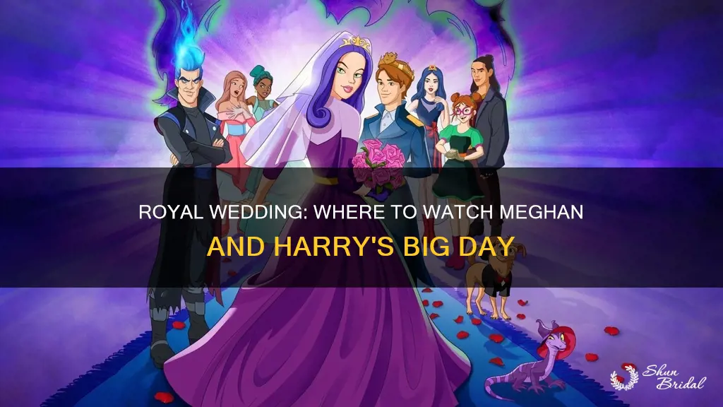 what channel will megan and harrys wedding be aired