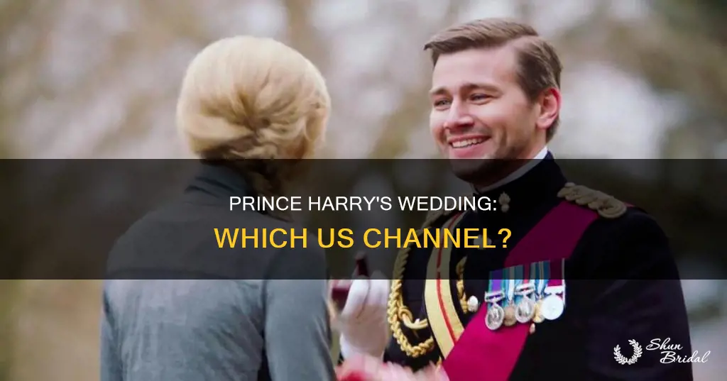what channel will prince harry wedding be on in usa