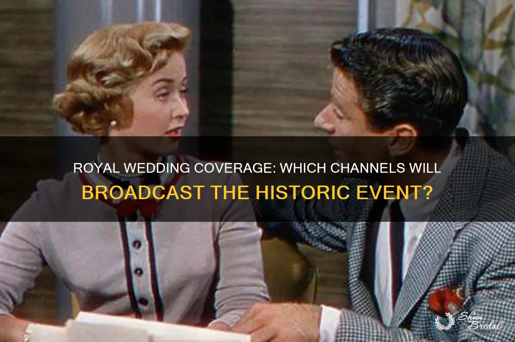 what channels are going to cover the royal wedding