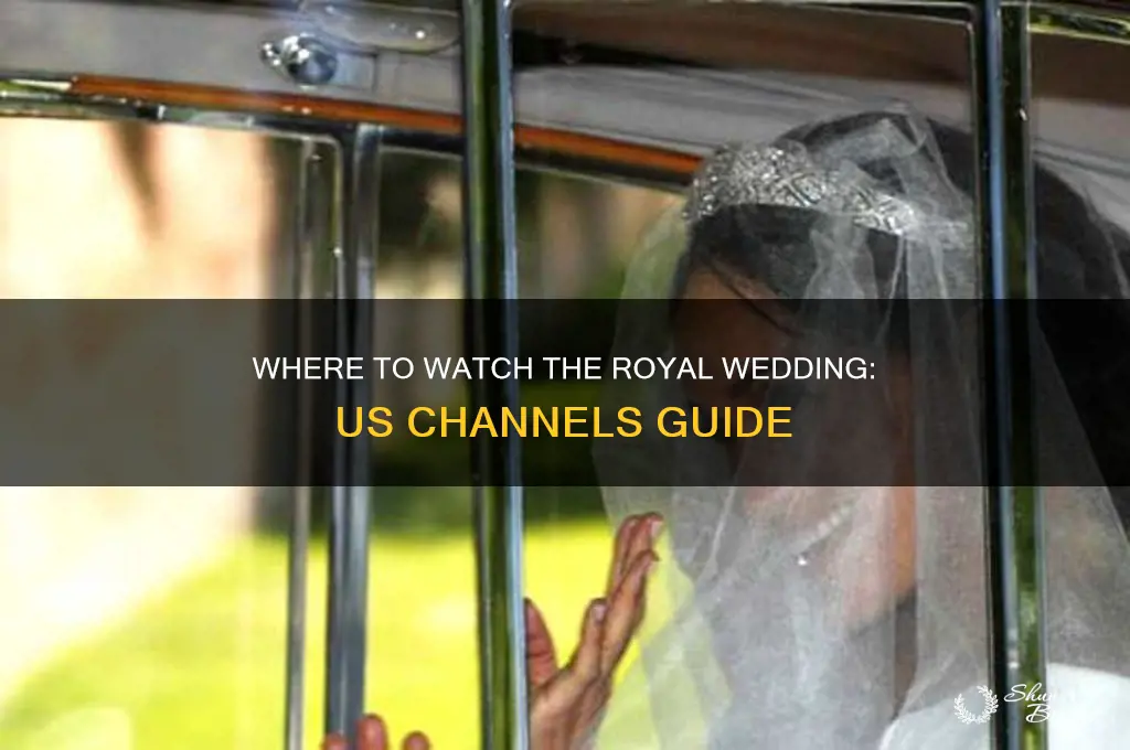 what channels in america are shpwing royal wedding