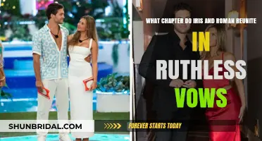 Iris and Roman's Reunion Chapter in Ruthless Vows Revealed