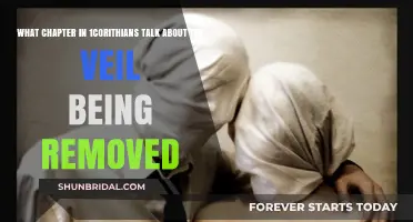 Unveiling Truth: 1 Corinthians Chapter on Removing the Veil