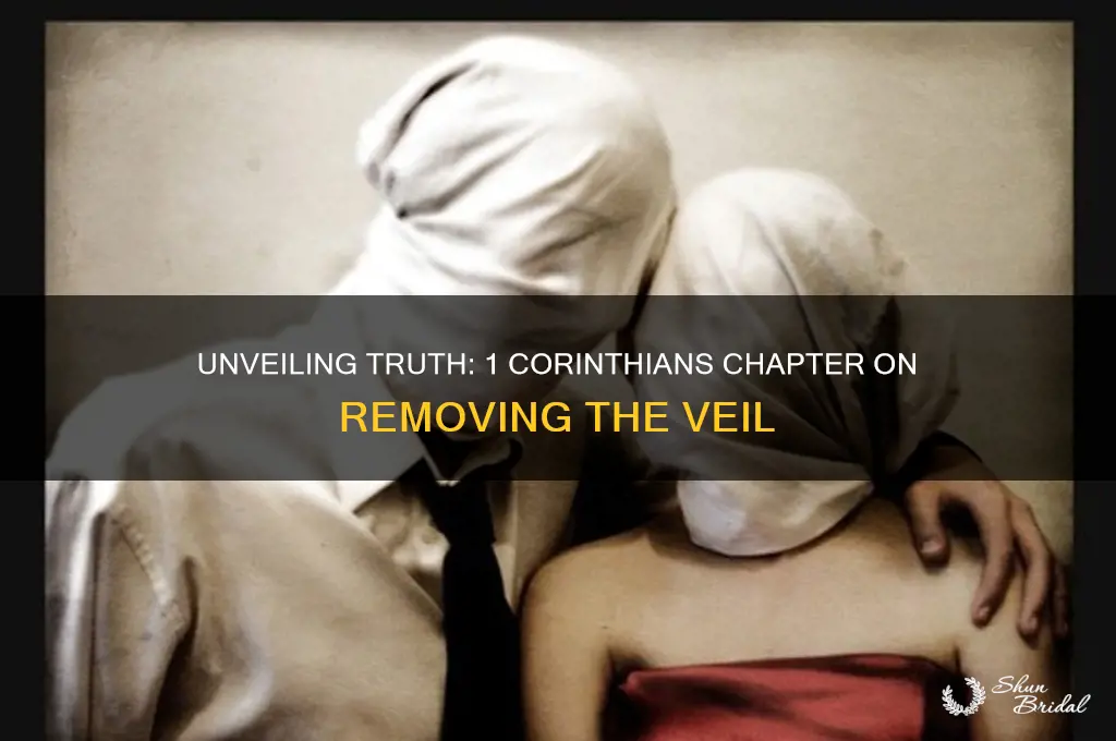 what chapter in 1corithians talk about the veil being removed